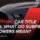 brantford-car-title-loans